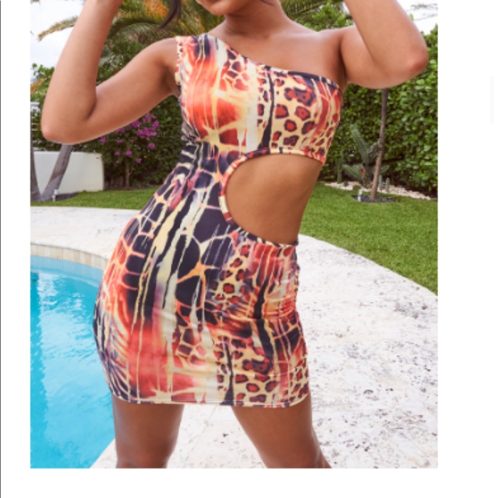 Sexy Cut Out Animal Print Dress